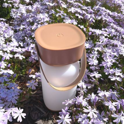 Zuma Line - LED Настільна акумуляторна лампа з регулюванням яскравості LED/3W/1200 mAh 3000/4000/6500K IP44 коричневий