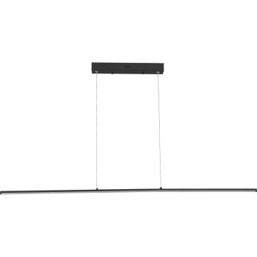 Zuma Line - LED люстра на тросі LED/20W/230V чорна
