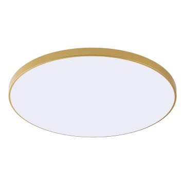 Zuma Line - LED потолочный светильник VERI LED/32W/230V Ø 37 см золотой