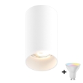 Zuma Line - LED RGBW диммируемый точечный светильник 1xGU10/4,8W/230V белый + пульт ДУ