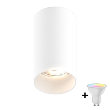 Zuma Line - LED RGBW диммируемый точечный светильник 1xGU10/4,8W/230V белый + пульт ДУ