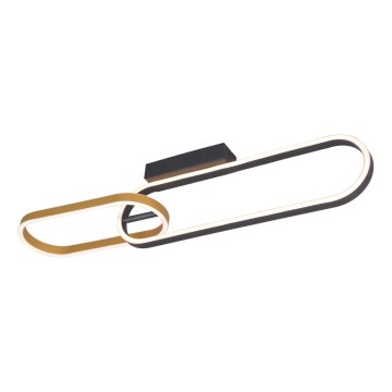 Zuma Line - LED стельовий світильник 2xLED/24W/230V чорний/золотий