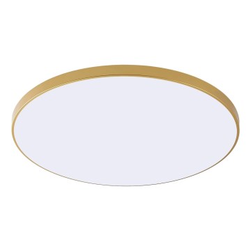 Zuma Line - LED стельовий світильник VERI LED/44W/230V, діаметр 47 см, золотий