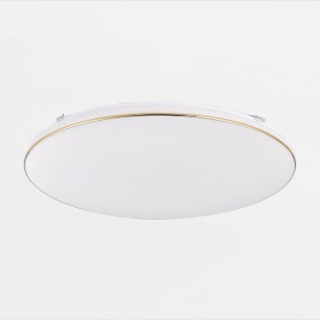 Zuma Line - LED Стельовий світильник з регулюванням яскравості OMAR LED/48W/230V діаметр 53 см золотий