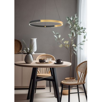 Zuma Line - Світлодіодна підвісна люстра з регулюванням яскравості LED/30W/230V чорний/золотий