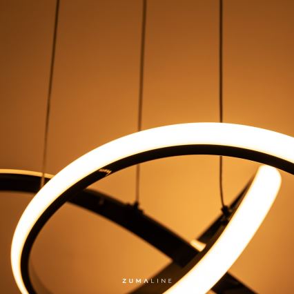 Zuma Line - Світлодіодна люстра на тросі з регулюванням яскравості LED/44W/230V чорна