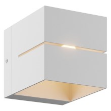 Zuma Line - Настенный светильник 1xG9/40W/230V белый