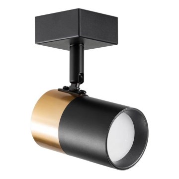 Zuma Line - Настенный точечный светильник 1xGU10/50W/230V черный/золотистый