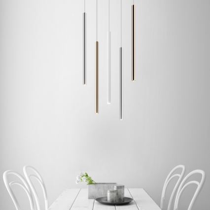 Zuma Line - Светодиодная люстра на тросе LED/5W/230V