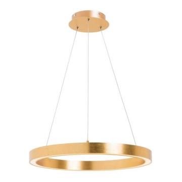 Zuma Line - Підвісна LED люстра 1xLED/30W/230V 40 см золотий