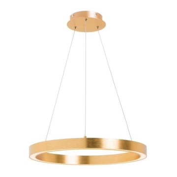 Zuma Line - Підвісна LED люстра 1xLED/40W/230V 50 см золотий