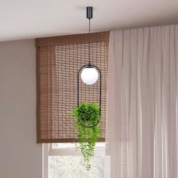 Zuma Line - Подвесная люстра 1xE14/40W/230V черный