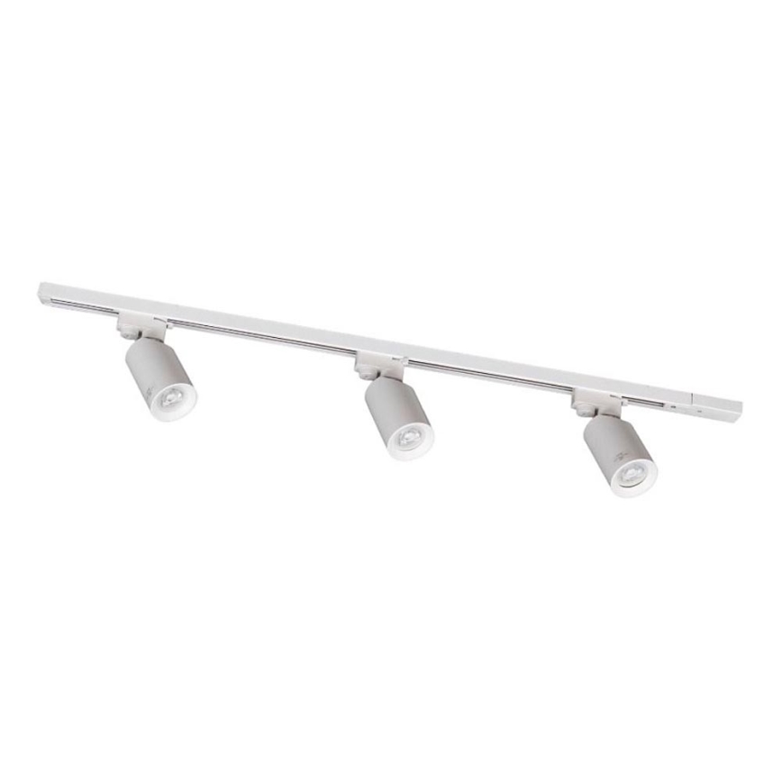 Zuma Line - Спотовый светильник в системе 3xGU10/35W/230V белый