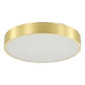 Zuma Line - Стельовий LED світильник для ванної з регулюванням яскравості LED/50W/230V 3000-6000K діаметр 50 см IP44 золотий + пульт дистанційного керування