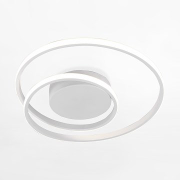 Zuma Line - Стельовий LED світильник LED/22W/230V білий