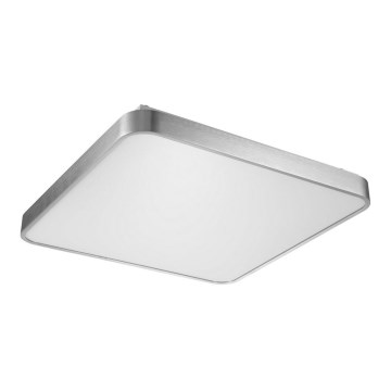 Zuma Line - Стельовий LED світильник LED/60W/230V глянцевий хром