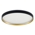 Zuma Line - Стельовий RGBW-світильник з регулюванням яскравості LED/32W/230V + LED/8W 3000-6000K чорний/золотистий + пульт дистанційного керування
