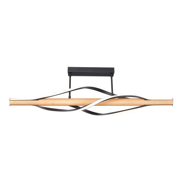Zuma Line - Светодиодная люстра на штанге LED/30W/230V