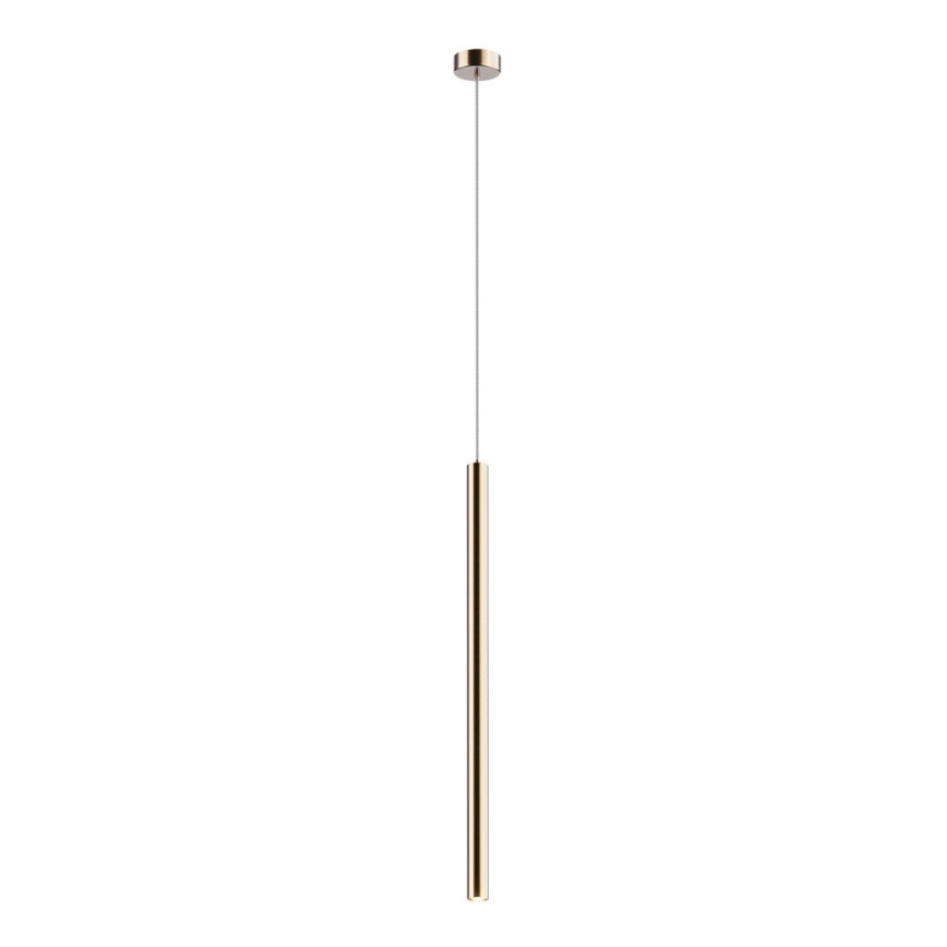 Zuma Line - Светодиодная люстра на тросе LED/5W/230V
