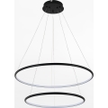 Zuma Line - Светодиодная подвесная люстра LED/40W/230V черный