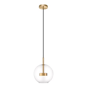Zuma Line - Светодиодная подвесная люстра LED/5W/230V золотистый