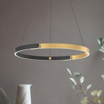 Zuma Line - Светодиодная регулируемая люстра на тросе LED/30W/230V черный/золотой
