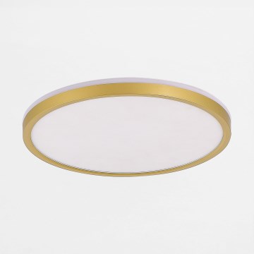 Zuma Line - Светодиодный потолочный светильник с регулированием яркости LED/26,5W/230V + LED/6,5W 3000/4000/5500K диаметр 32 см золотистый