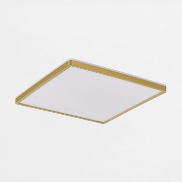 Zuma Line - Светодиодный потолочный светильник с регулированием яркости LED/38W/230V + LED/12W 3000/4000/5500K 40x40 см золотистый