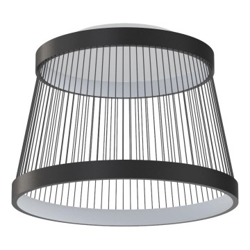 Zuma Line - Светодиодный потолочный светильник с регулированием яркости LED/32W/230V 2700-6000K черный + дистанционное управление