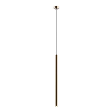Zuma Line - Светодиодная люстра на тросе LED/5W/230V