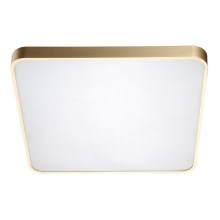 Zuma Line - Светодиодный потолочный светильник LED/60W/230V золотой