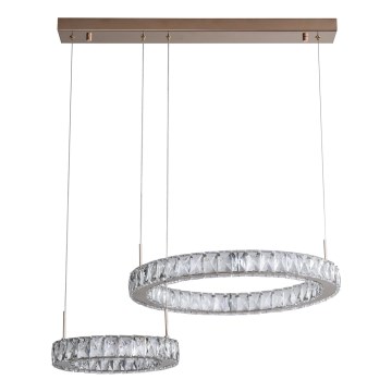 Zuma Line - світлодіодна люстра на тросі LED/36W/230V рожеве золото