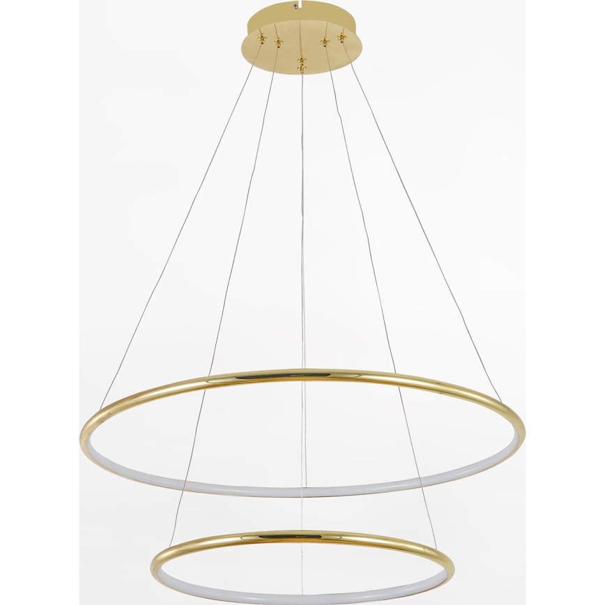 Zuma Line - Світлодіодна підвісна люстра LED/40W/230V золотий