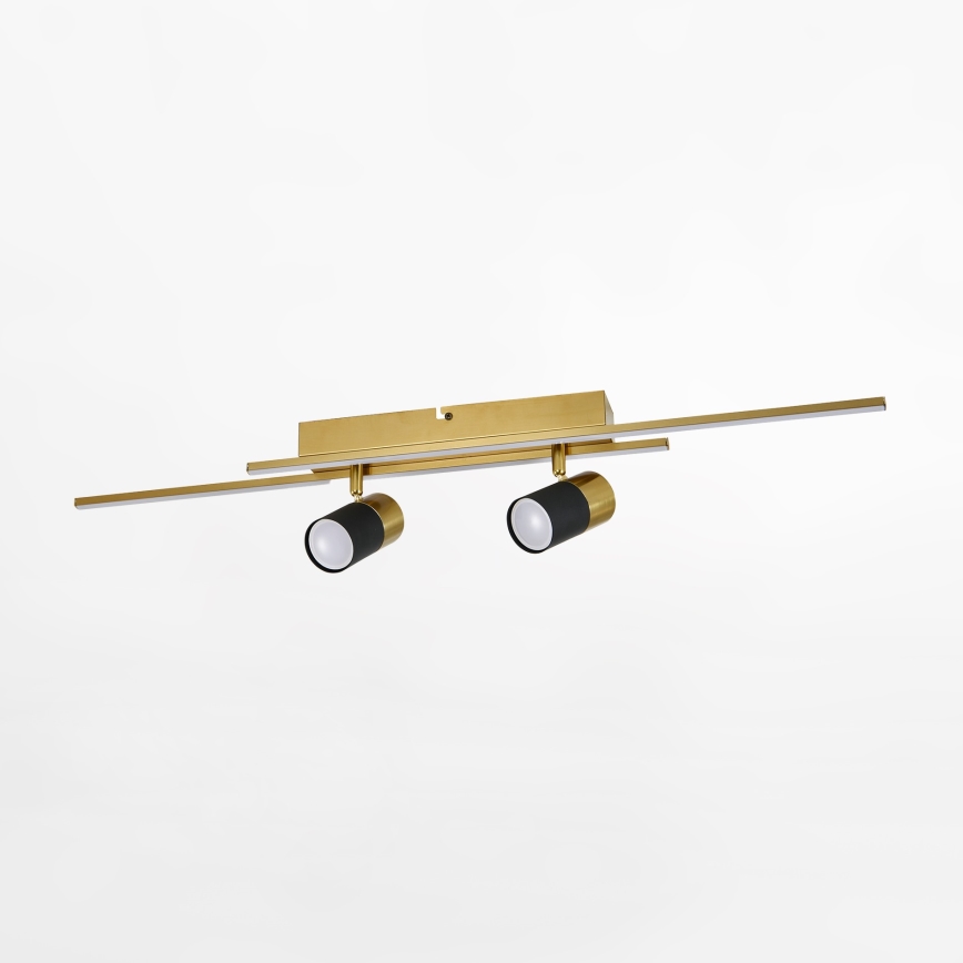 Zuma Line - Світлодіодний точковий світильник 2xGU10/40W/230V + 2xLED/6W золотий/чорний