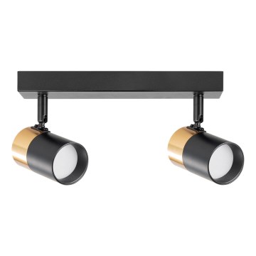 Zuma Line - Точечный светильник 2xGU10/50W/230V черный/золотистый