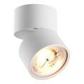 Zuma Line - Точковий світильник 1xGU10-ES111/15W/230V білий