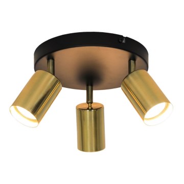 Zuma Line - Точковий світильник 3xGU10/50W/230V