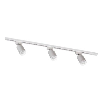 Zuma Line - Точковий світильник для трекової системи 3xGU10/35W/230V білий