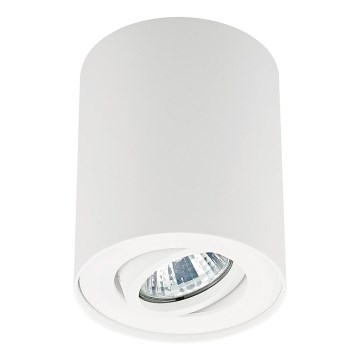 Zuma Line - Точковий світильник 1xGU10/50W/230V білий