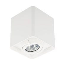 Zuma Line - Точечный светильник 1xGU10/50W/230V белый