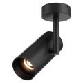 Zuma Line - Точечный светильник 1xGU10/50W/230V черный