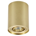 Zuma Line - Точечный светильник 1xGU10/50W/230V золотой