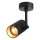 Zuma Line - Точковий світильник 1xGU10/50W/230V чорний/золотий
