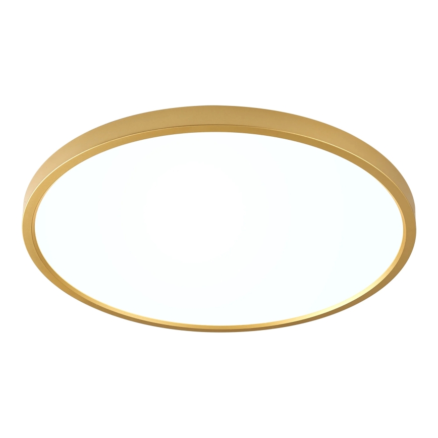 Zuma Line - LED стельовий світильник LED/36W/230V 3000/4000/6000K діаметр 40 см золотий