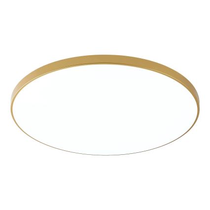 Zuma Line - LED стельовий світильник VERI LED/44W/230V Ø 47 см золотистий