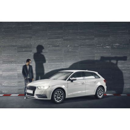 КОМПЛЕКТ 2x автолампы Philips RACINGVISION 12342RVS2 H4 P43t-38/55W/12V