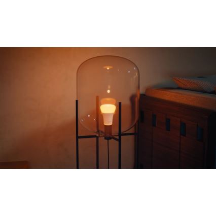 Набор из 2 диммируемых LED-ламп Philips Hue WHITE AND COLOR AMBIANCE E27, 6 Вт, 230 В, 1000–20000 К